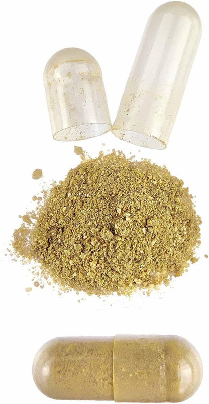 HSN Multivitamínico Evovits | 120 Cápsulas | Multivitaminas Y Minerales Para Todos Los Días | Complejo Polivitamínico Para Mujer, Hombre, Vegetarianos Y Deportistas | No-Gmo, Sin Gluten Ni Lactosa